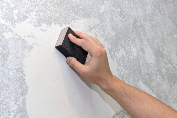 Best Forensic Mold Investigation  in Thornport, OH