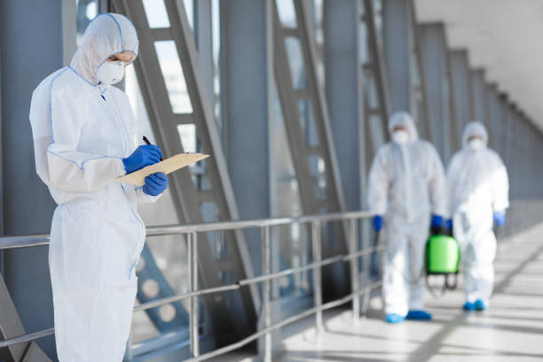 Best Mold Remediation for Vacation Homes  in Thornport, OH