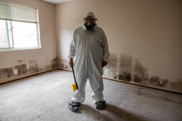 Forensic Mold Investigation in Thornport, OH