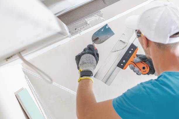 Best Industrial Mold Remediation  in Thornport, OH